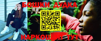 СК Дубна