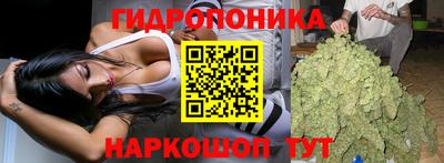 СК Дубна