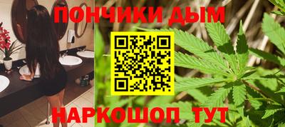 СК Дубна