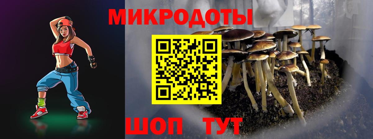Псилоцибиновые грибы мухоморы Партизанск