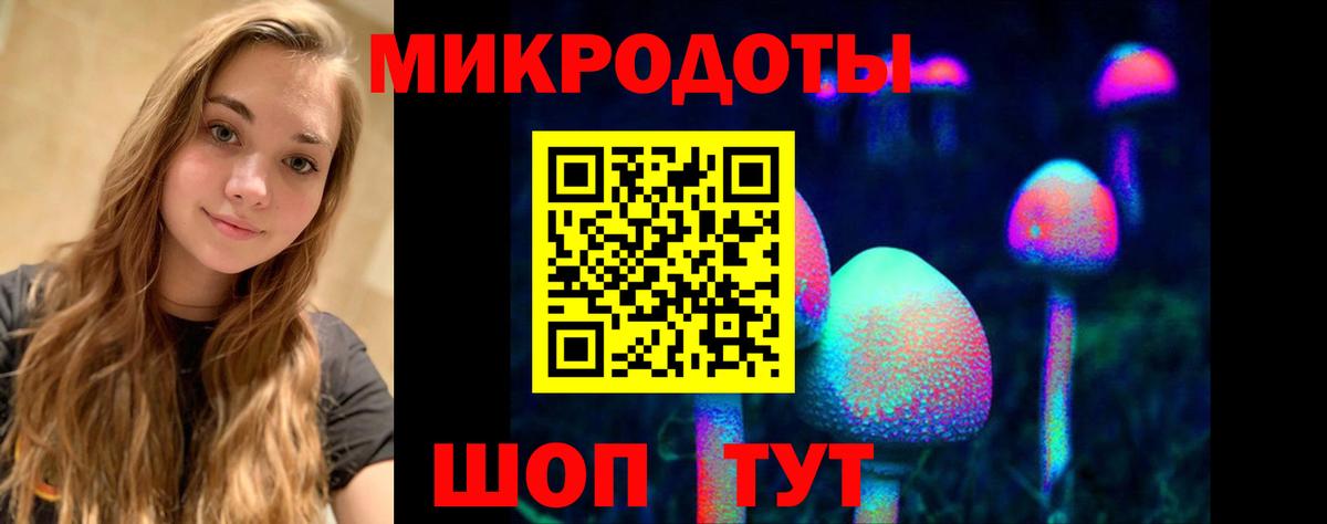 Партизанск  Галлюциногенные грибы Cubensis  Вход с VPN  Галлюциногенные грибы Cubensis 